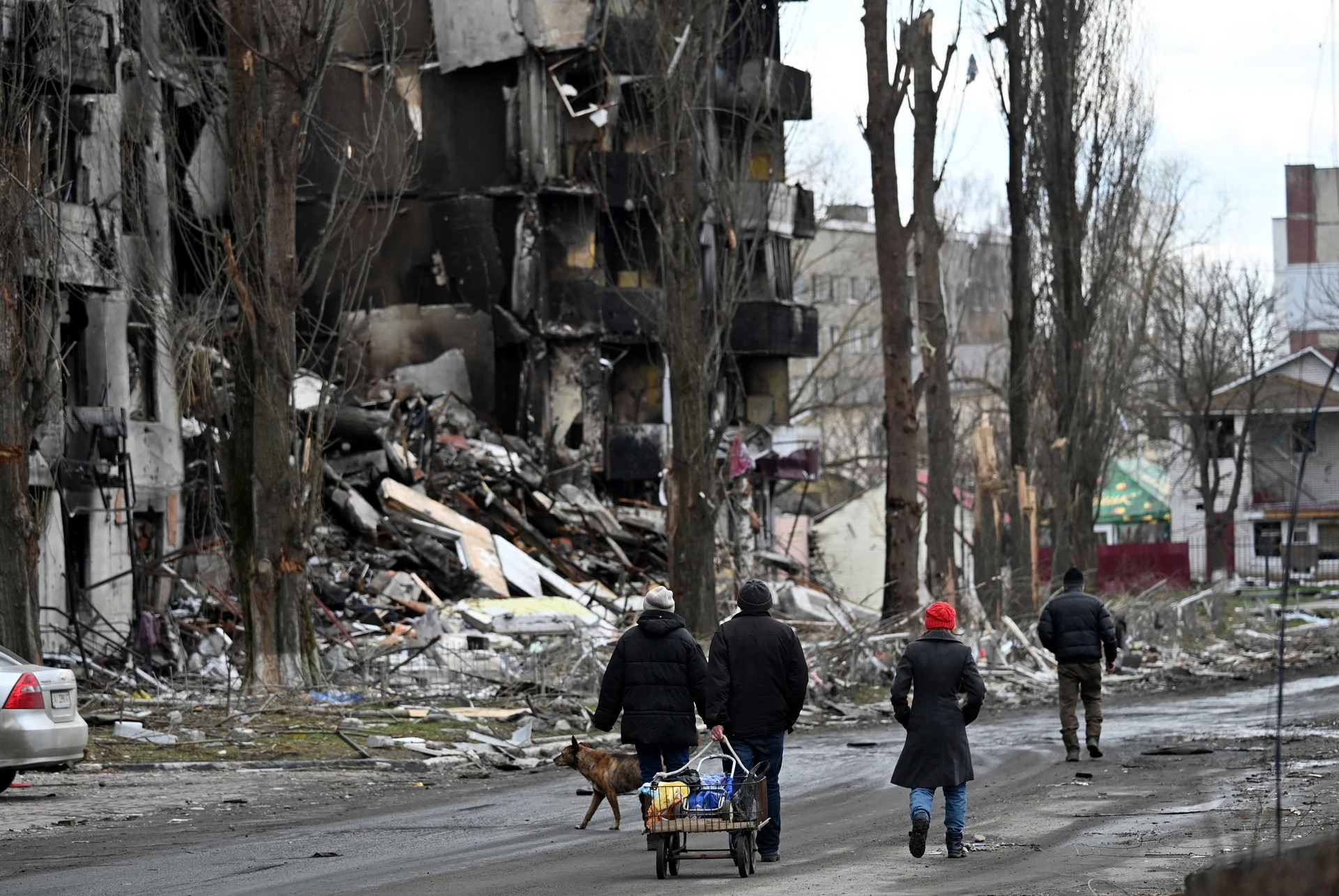 destroyed buildings in the town of Borodianka