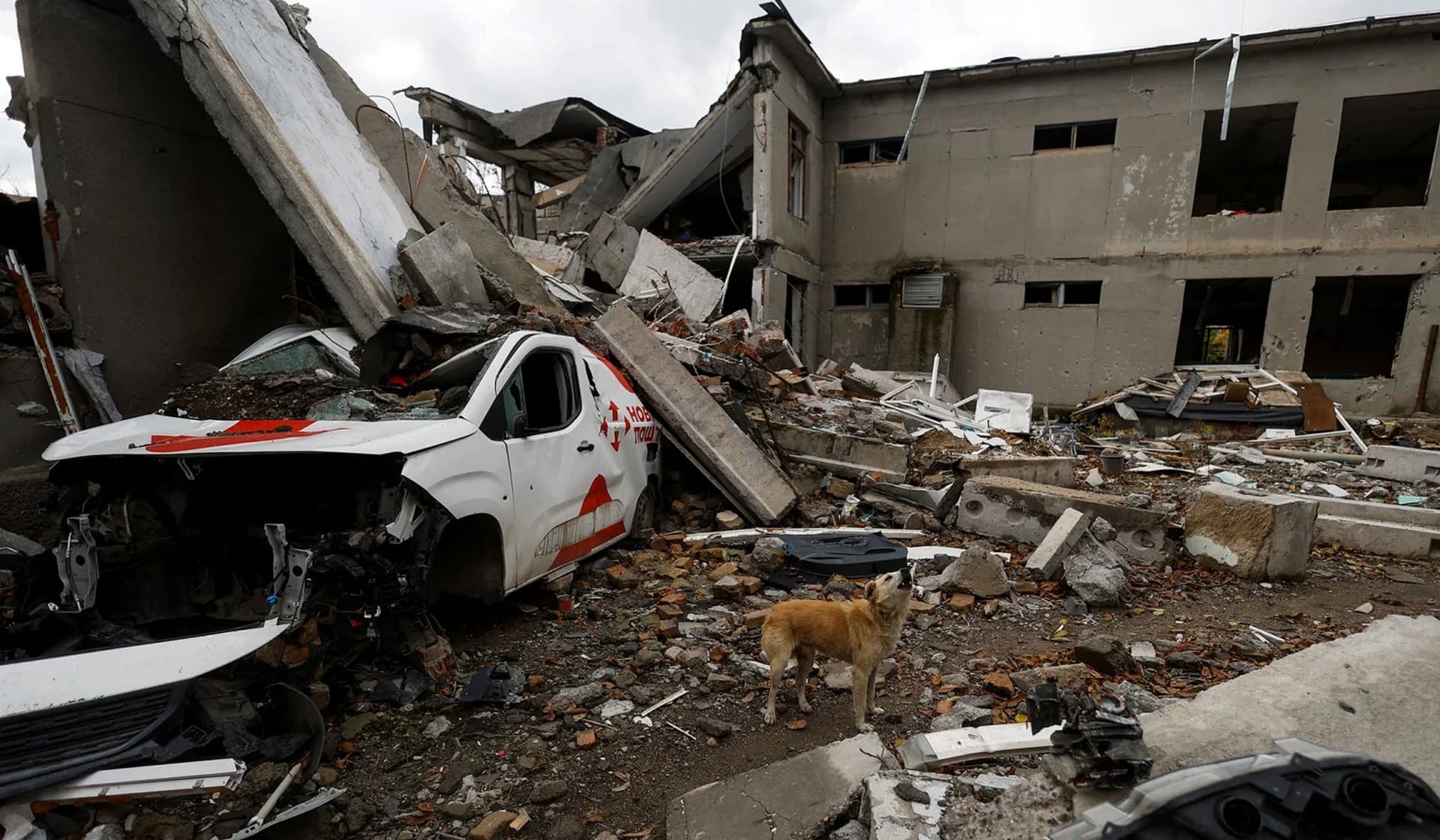 A dog stands among debris of a school building destroyed by a Russian air strike in a village near a frontline in Mykolaiv Region