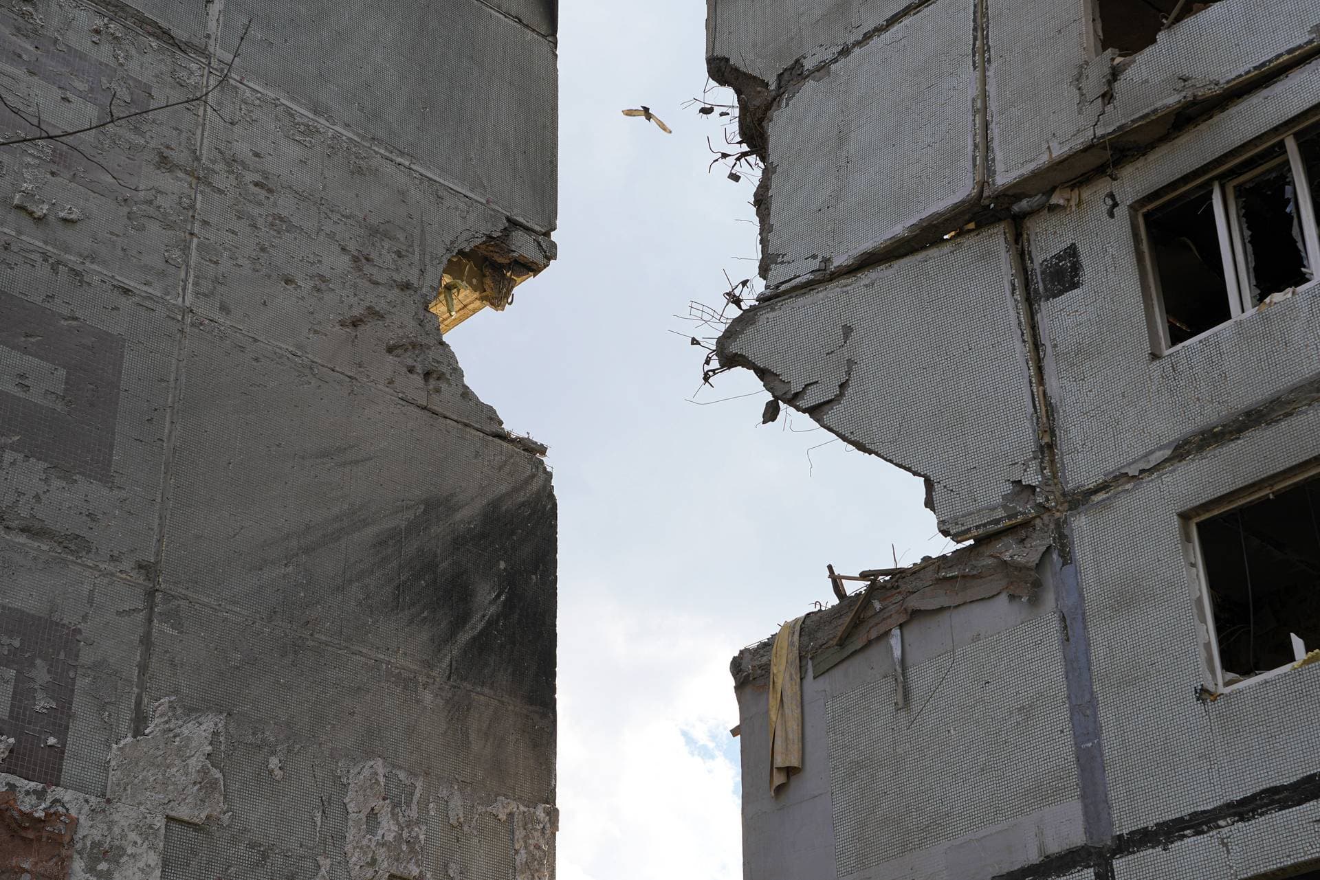 A bird flies between two missile-damaged buildings in Zaporizhzhia